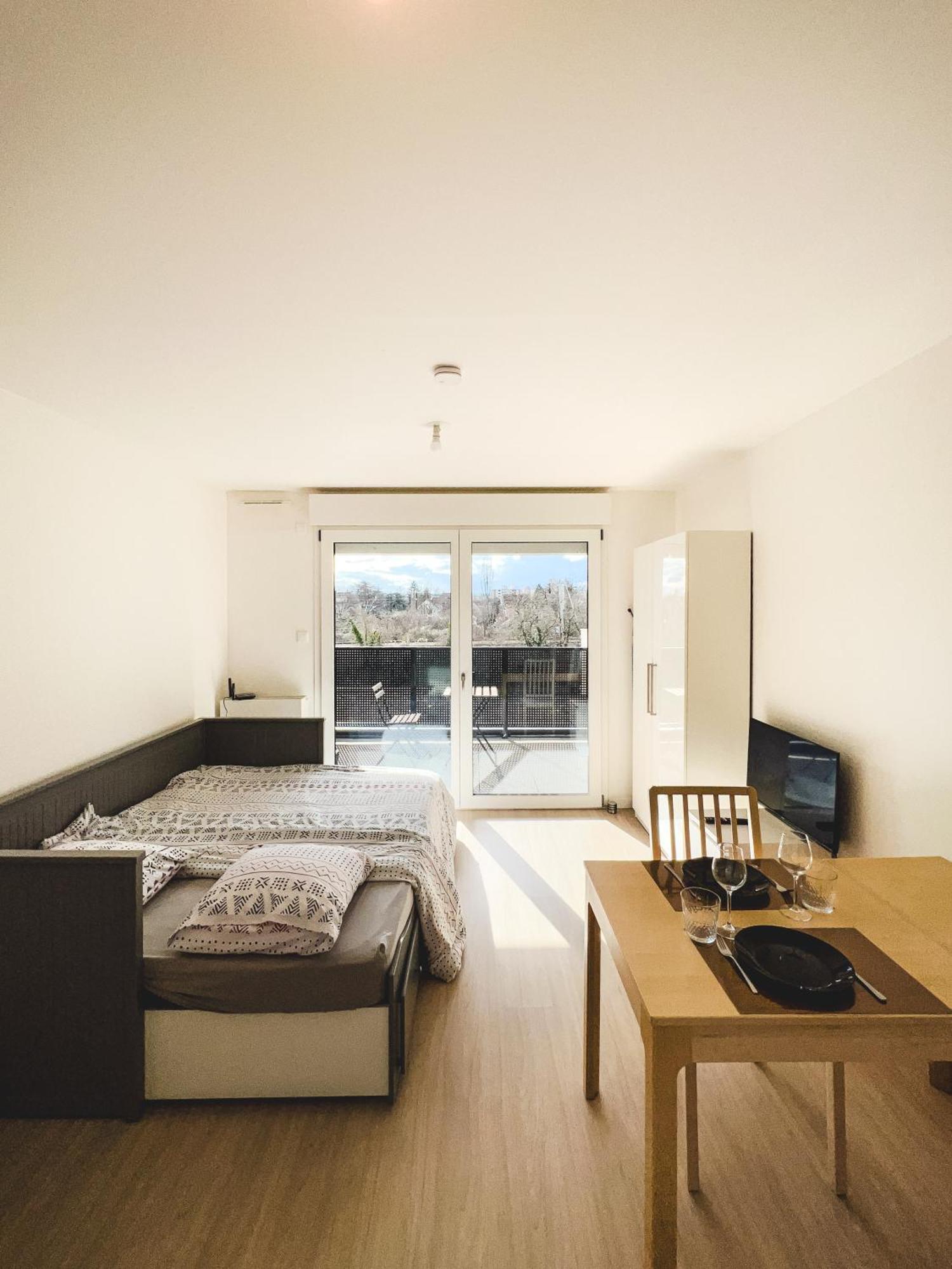 Le Hesingue- Near Airport, Swiss & German Board Saint-Louis (Haut-Rhin)